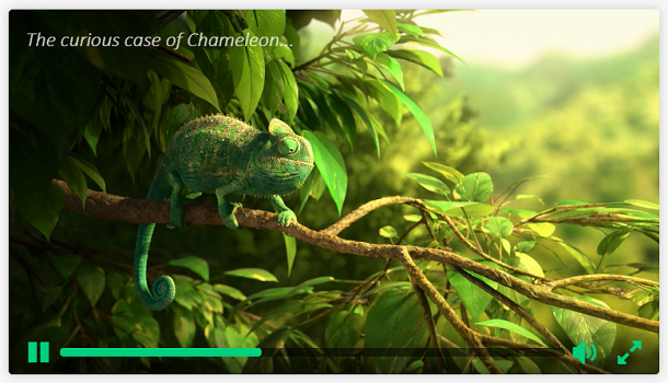 How to Customize the Skin Online Video Player in HTML5